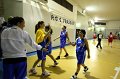 Basket 443066